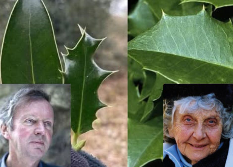 La hipótesis de causación formativa